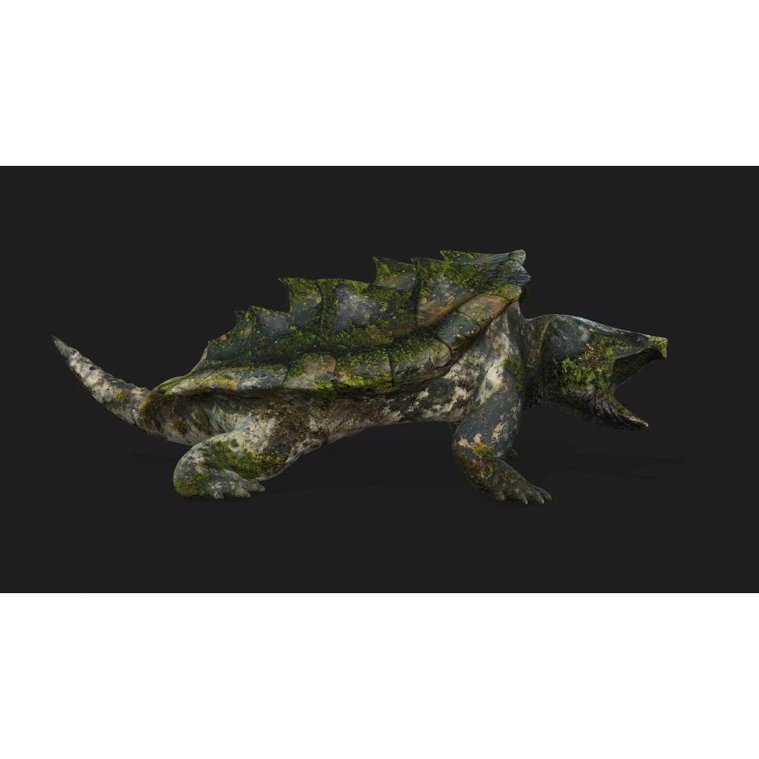 Alligator Turtle 3D Model – Rigged PBR Asset for Animation, FBX - View 14