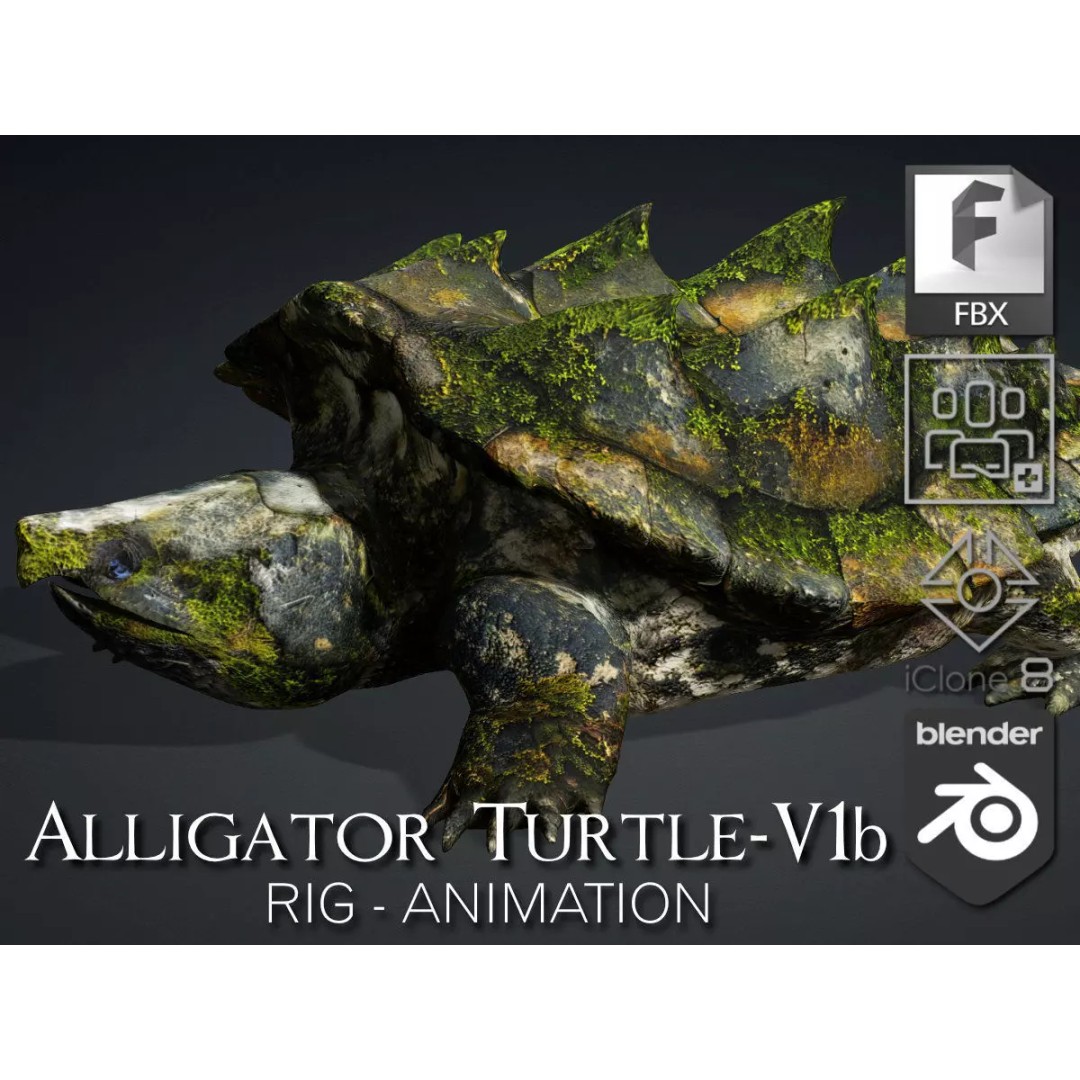 Alligator Turtle 3D Model – Rigged PBR Asset for Animation, FBX - View 2