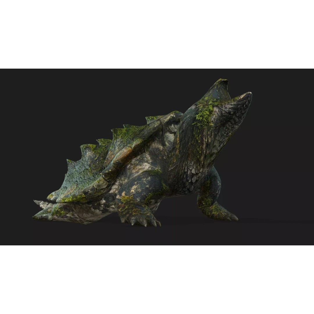 Alligator Turtle 3D Model – Rigged PBR Asset for Animation, FBX - View 4