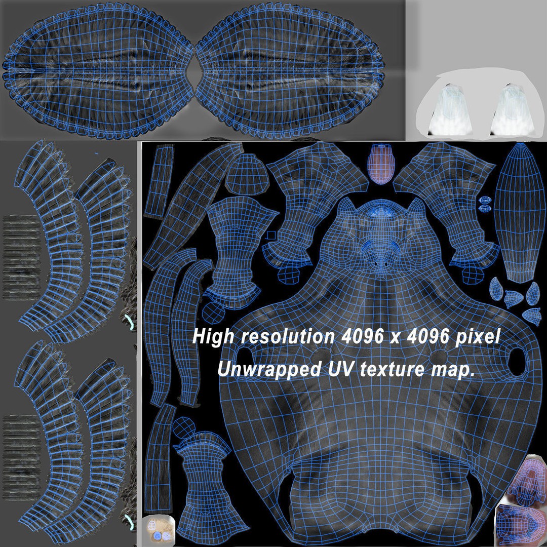 Black Pegasus 3D Model – Realistic Rigged Character with Animation