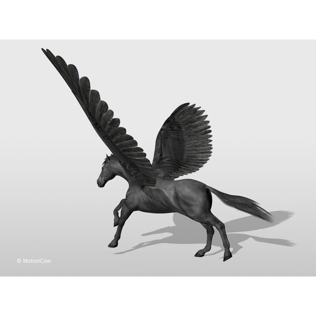 Black Pegasus 3D Model – Realistic Rigged Character with Animation - View 10