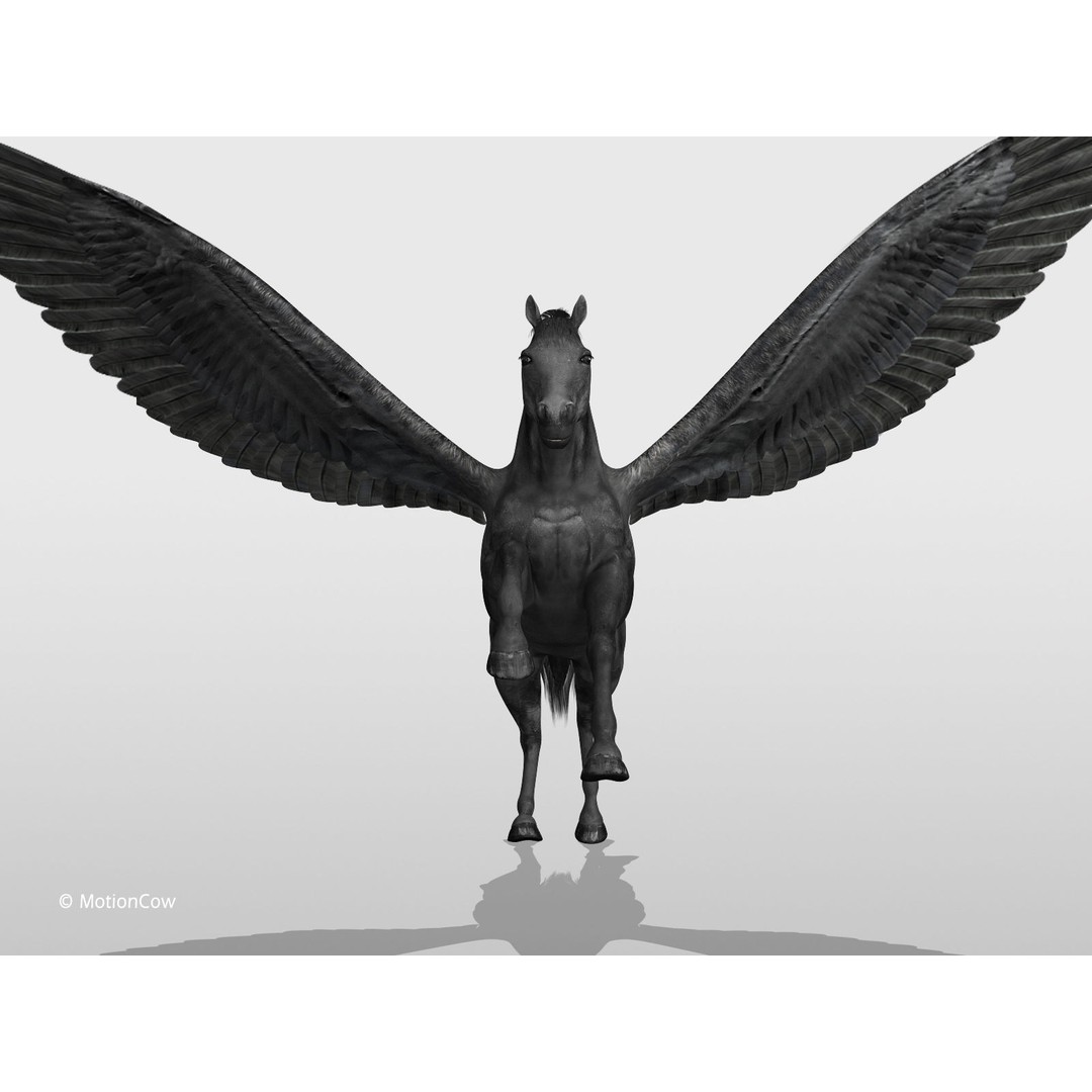 Black Pegasus 3D Model – Realistic Rigged Character with Animation - View 11