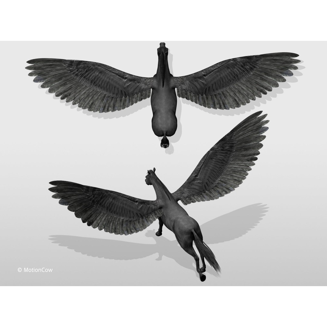Black Pegasus 3D Model – Realistic Rigged Character with Animation - View 12