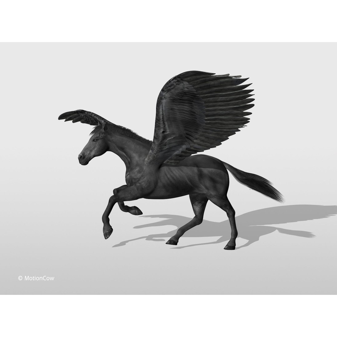 Black Pegasus 3D Model – Realistic Rigged Character with Animation - View 13