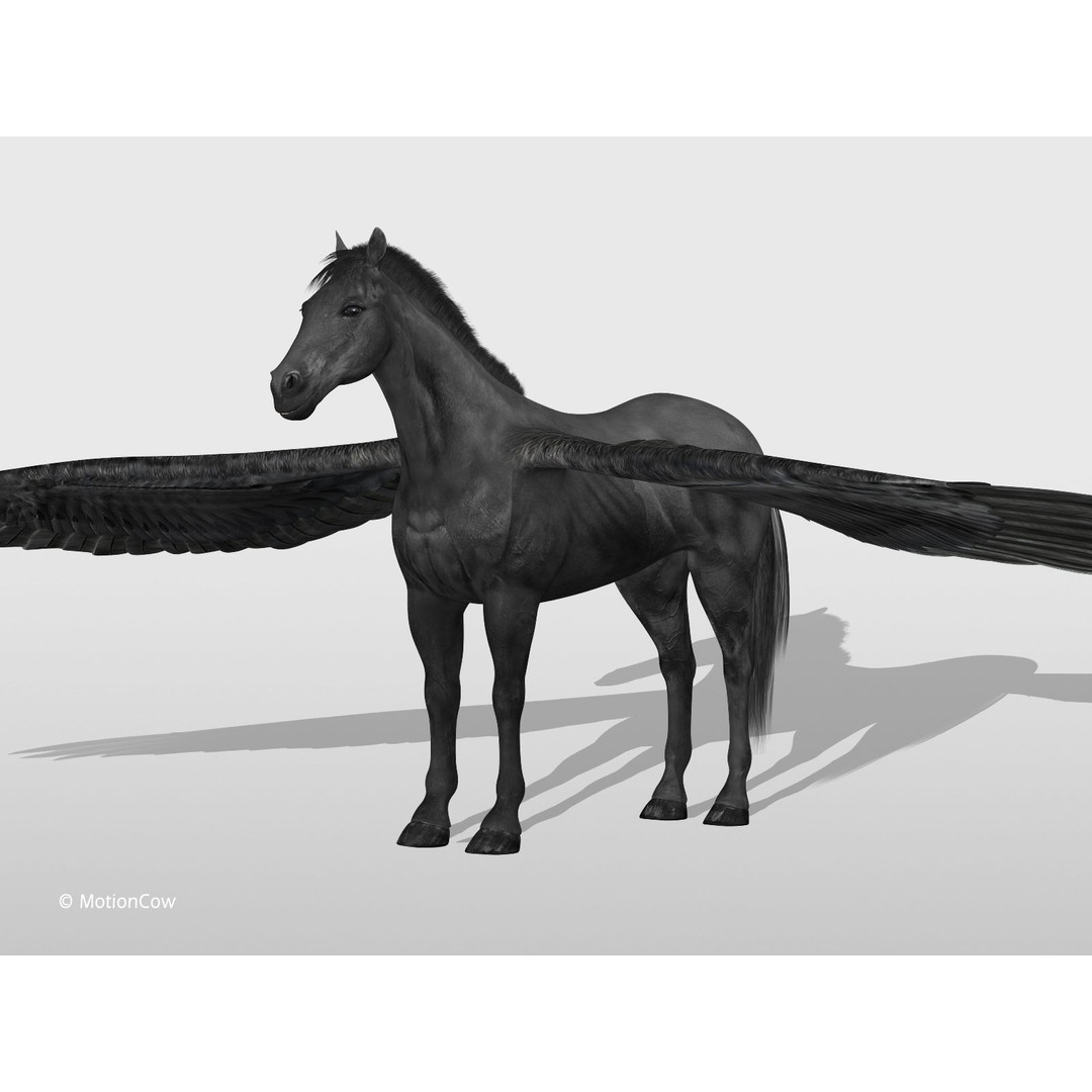 Black Pegasus 3D Model – Realistic Rigged Character with Animation - View 14