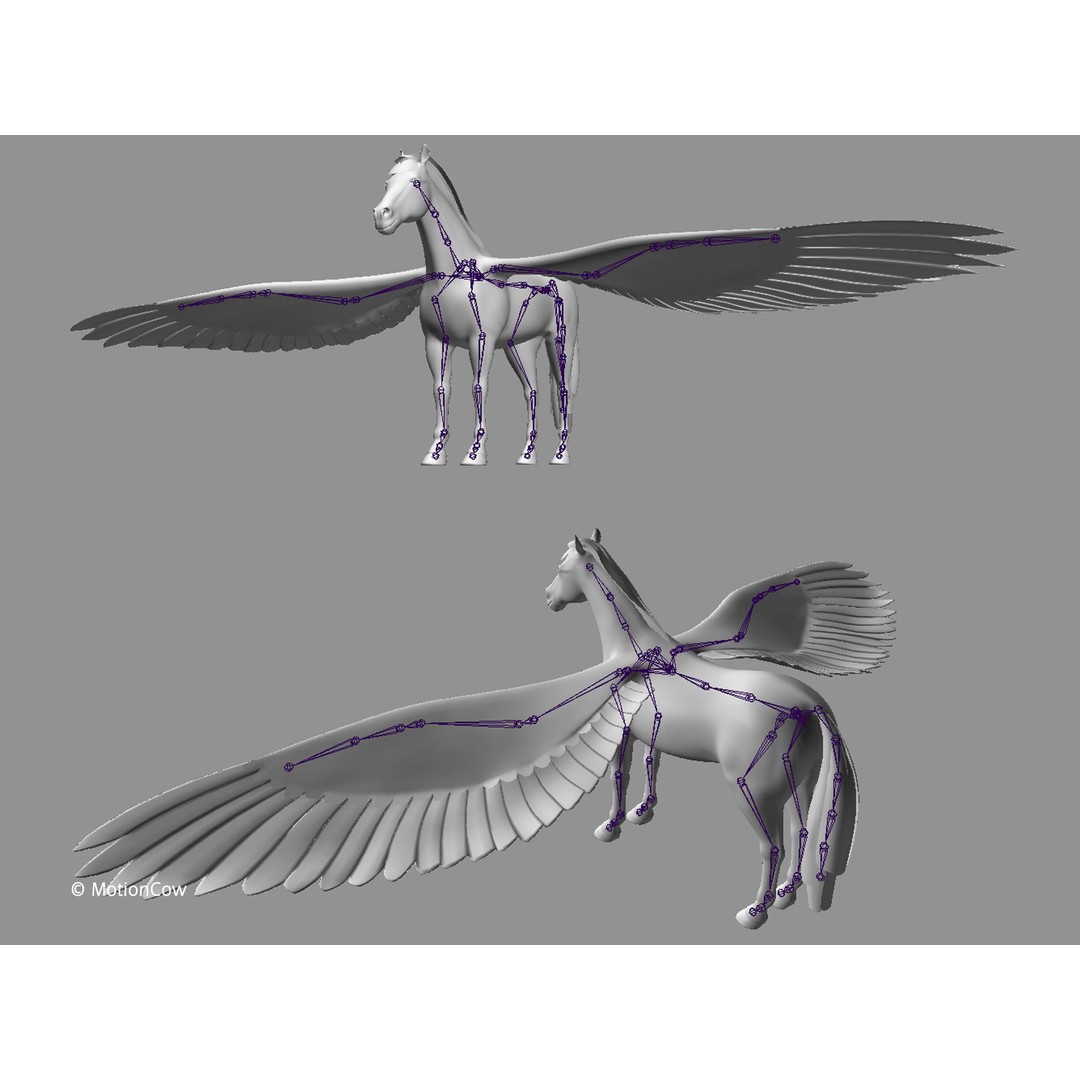 Black Pegasus 3D Model – Realistic Rigged Character with Animation - View 15