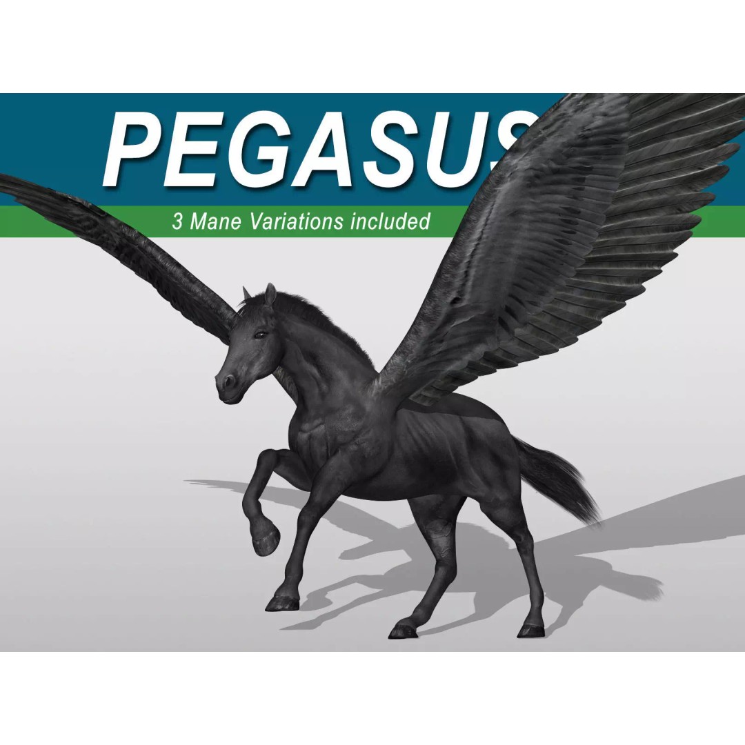 Black Pegasus 3D Model – Realistic Rigged Character with Animation - View 2