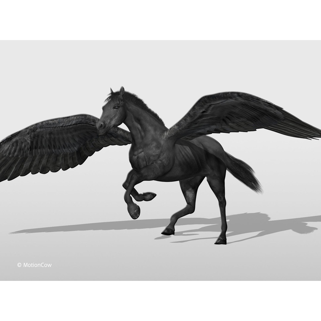 Black Pegasus 3D Model – Realistic Rigged Character with Animation - View 3