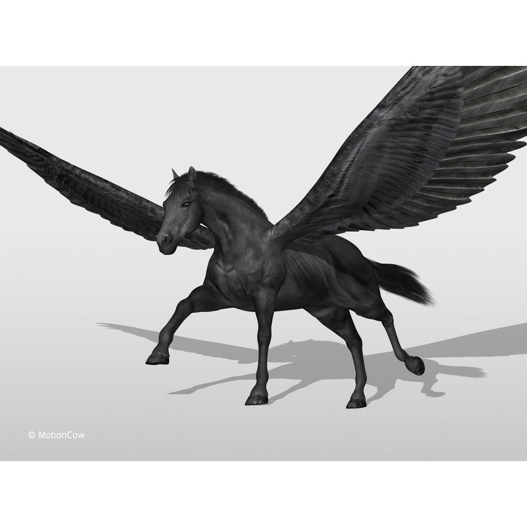 Black Pegasus 3D Model – Realistic Rigged Character with Animation - View 4