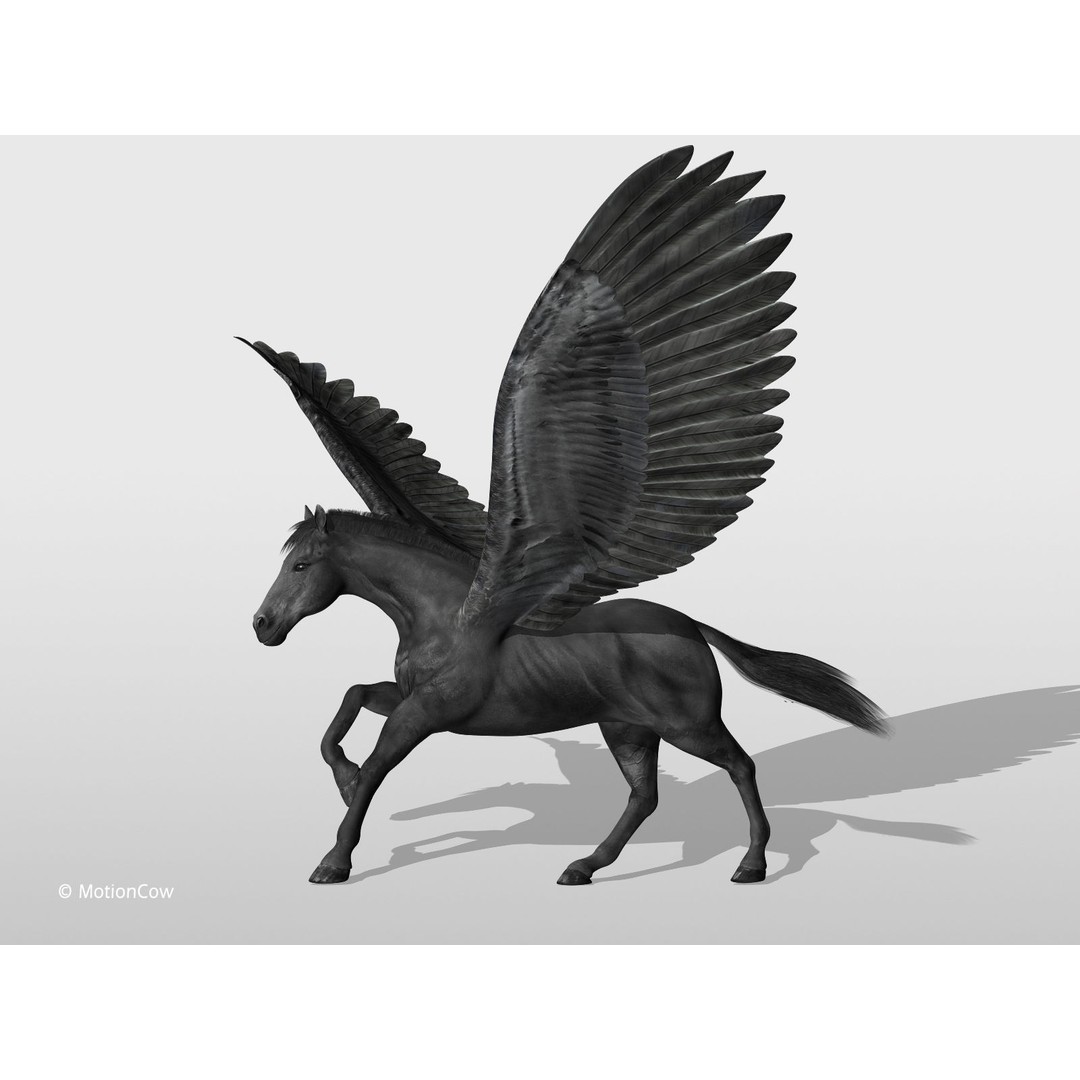 Black Pegasus 3D Model – Realistic Rigged Character with Animation - View 5