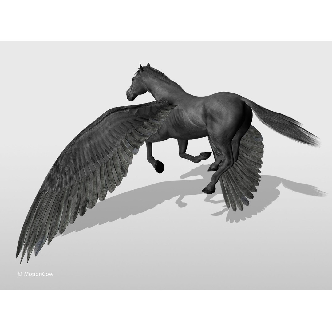 Black Pegasus 3D Model – Realistic Rigged Character with Animation - View 6