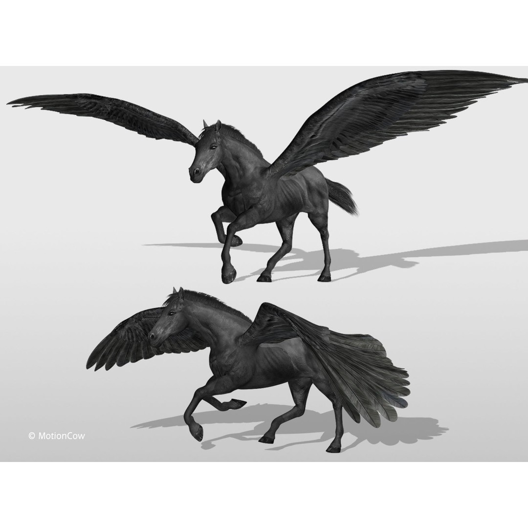 Black Pegasus 3D Model – Realistic Rigged Character with Animation - View 7