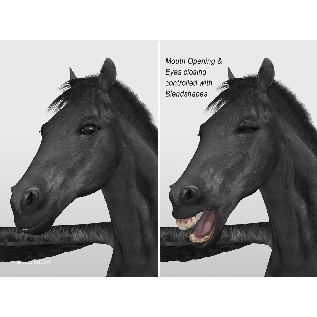 Black Pegasus 3D Model – Realistic Rigged Character with Animation - View 8