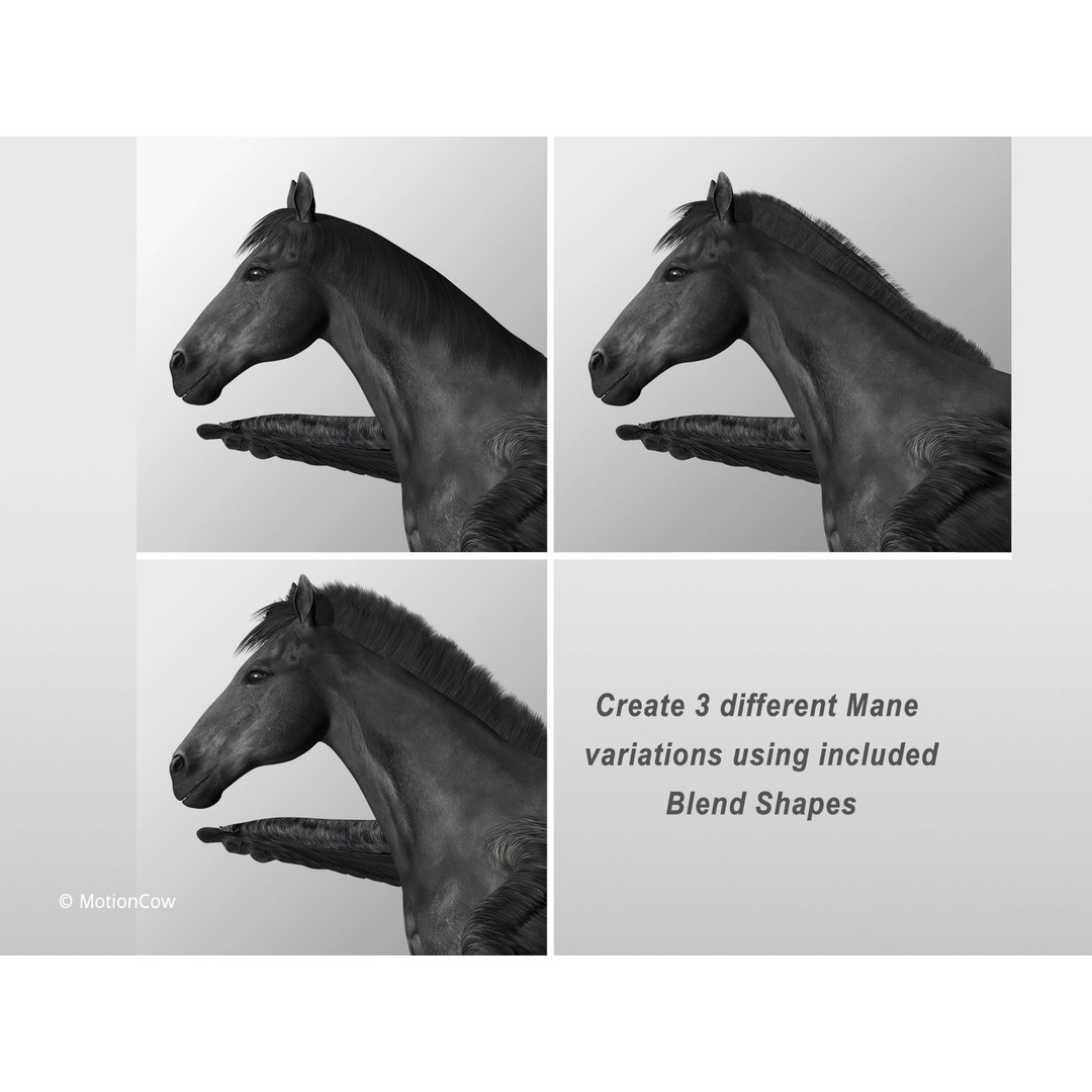 Black Pegasus 3D Model – Realistic Rigged Character with Animation - View 9