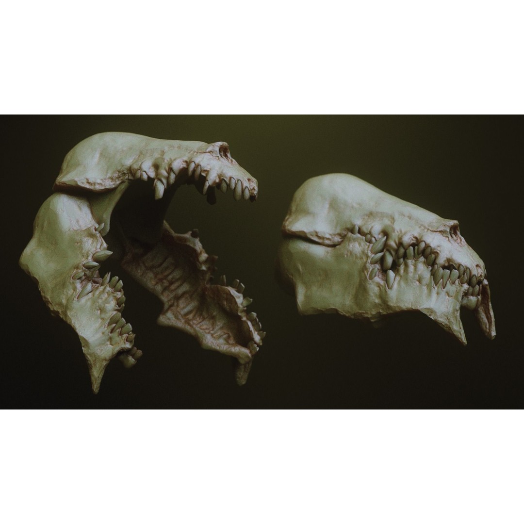 Monster Jaws 3D Model – High Poly IMM Brush & OBJ Files - View 13