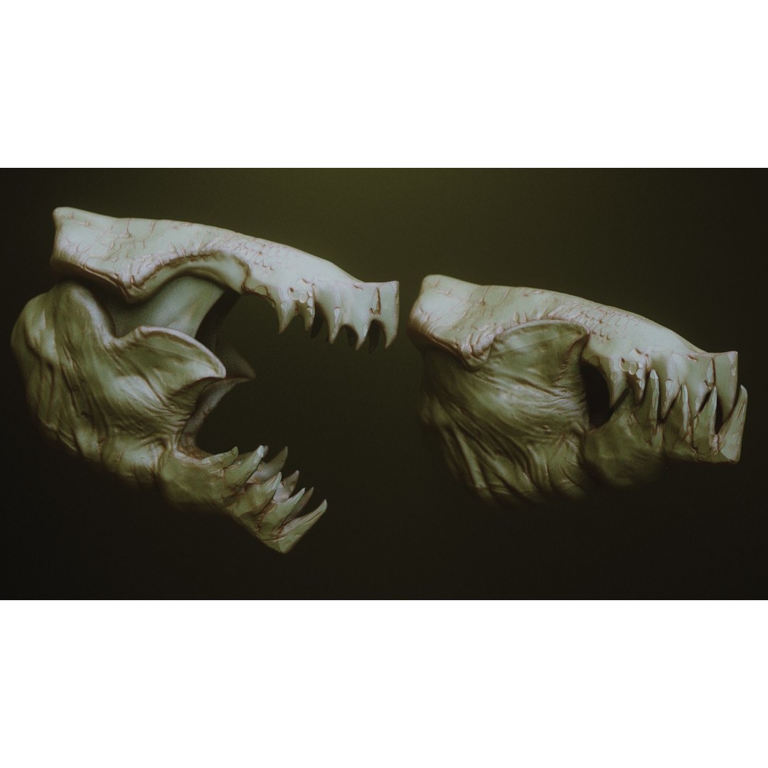 Monster Jaws 3D Model – High Poly IMM Brush & OBJ Files - View 14