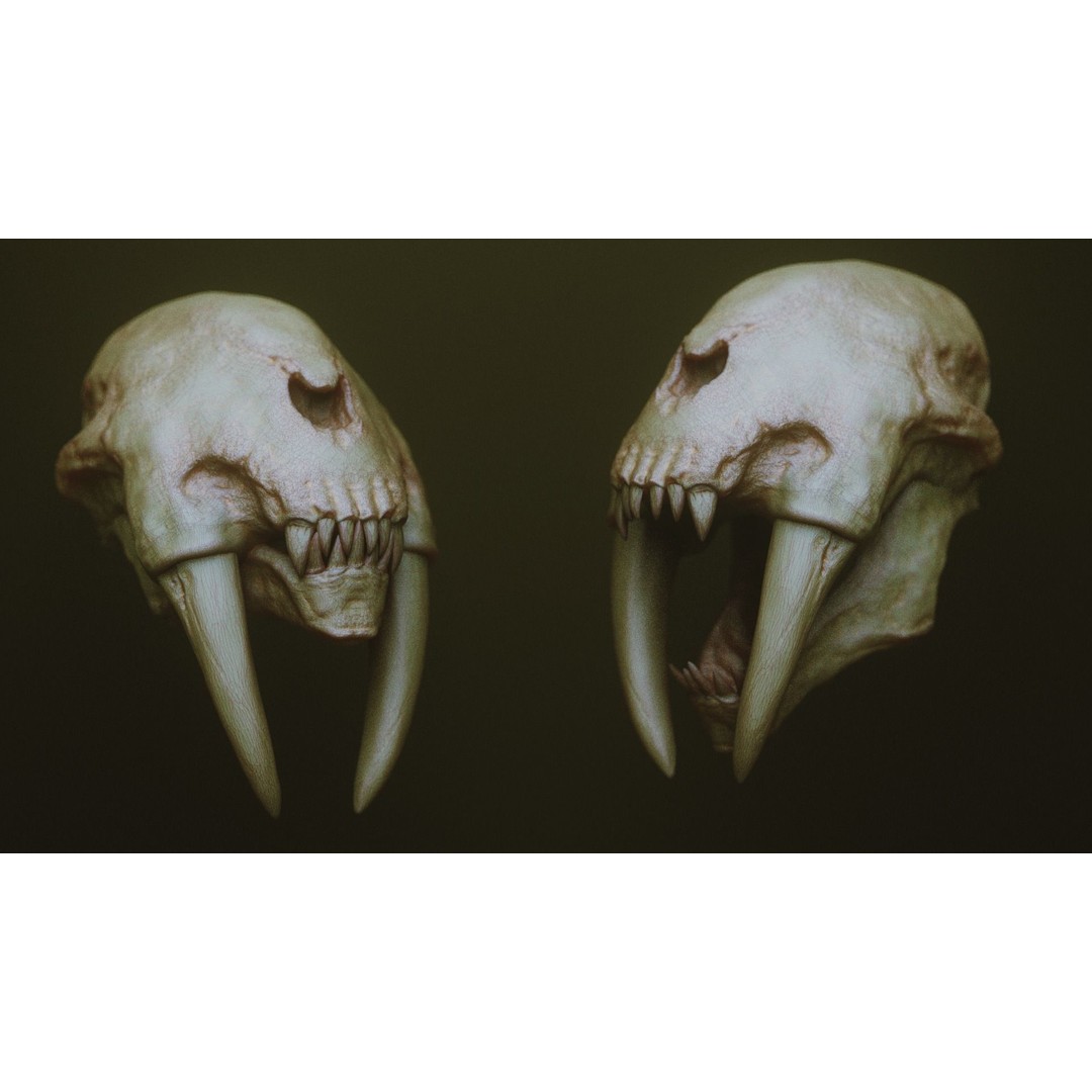 Monster Jaws 3D Model – High Poly IMM Brush & OBJ Files - View 16