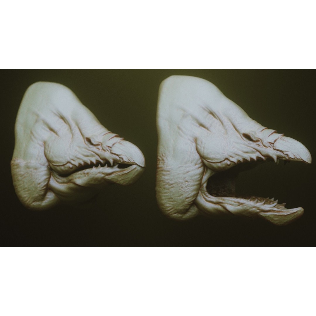 Monster Jaws 3D Model – High Poly IMM Brush & OBJ Files - View 27