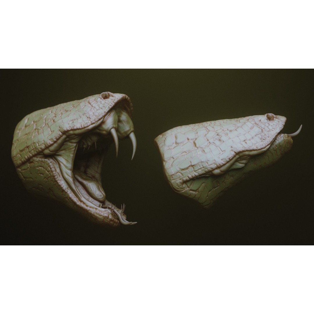 Monster Jaws 3D Model – High Poly IMM Brush & OBJ Files - View 28
