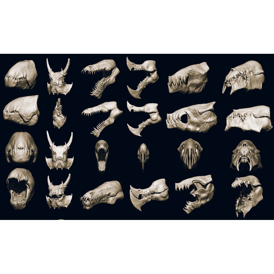 Monster Jaws 3D Model – High Poly IMM Brush & OBJ Files - View 35