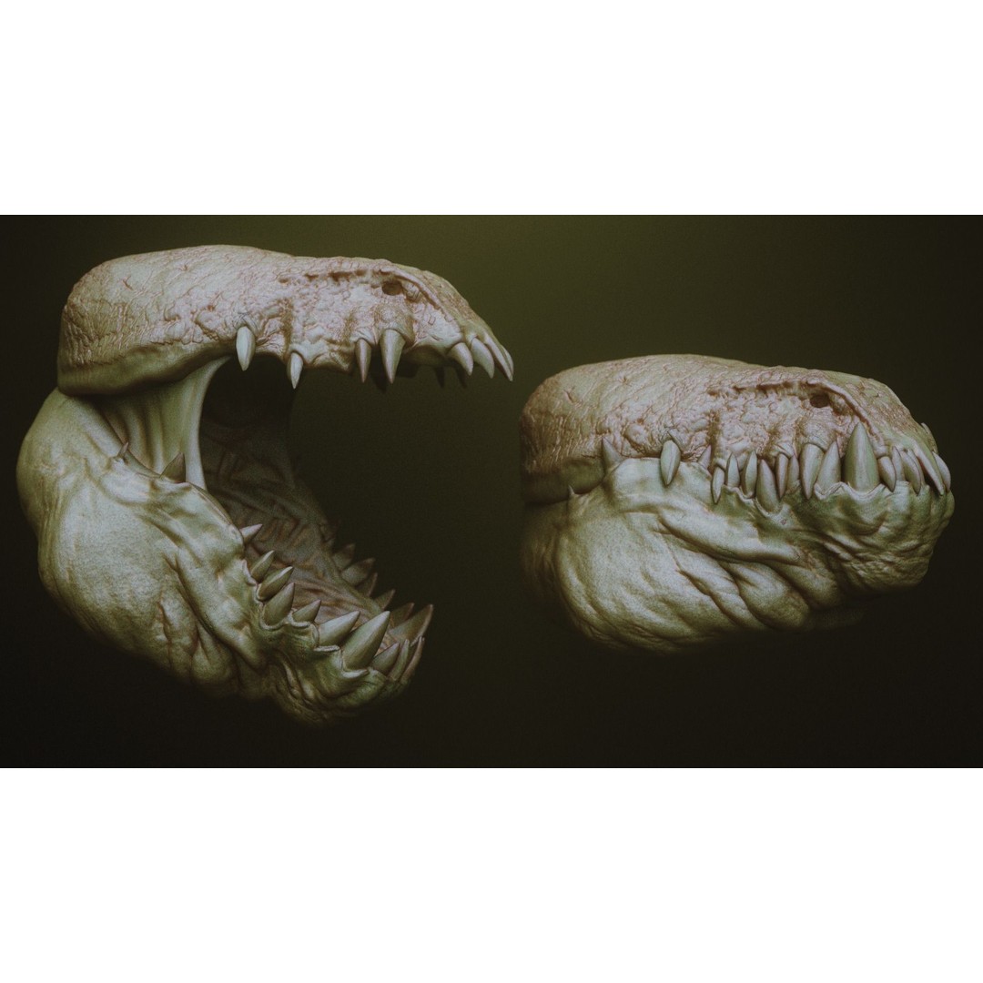 Monster Jaws 3D Model – High Poly IMM Brush & OBJ Files - View 4