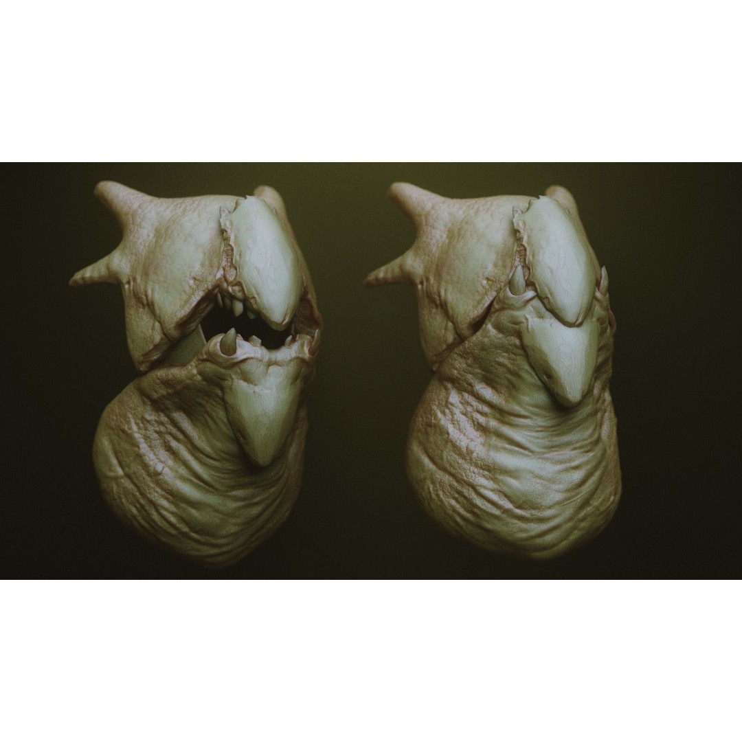 Monster Jaws 3D Model – High Poly IMM Brush & OBJ Files - View 7
