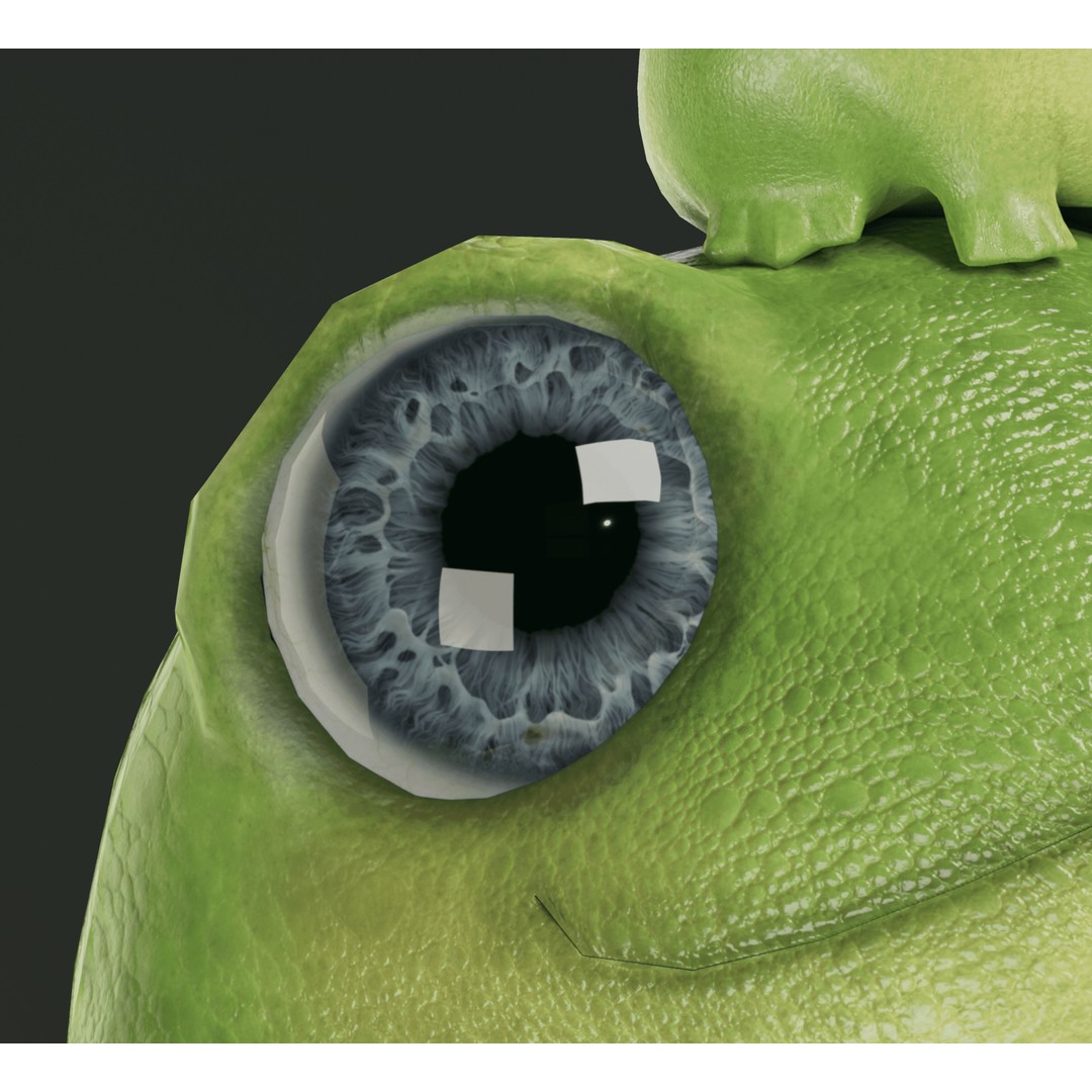 Cute Frog 3D Model – Low Poly Game Ready Character, FBX - View 12