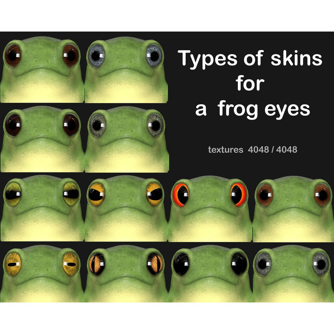 Cute Frog 3D Model – Low Poly Game Ready Character, FBX - View 5