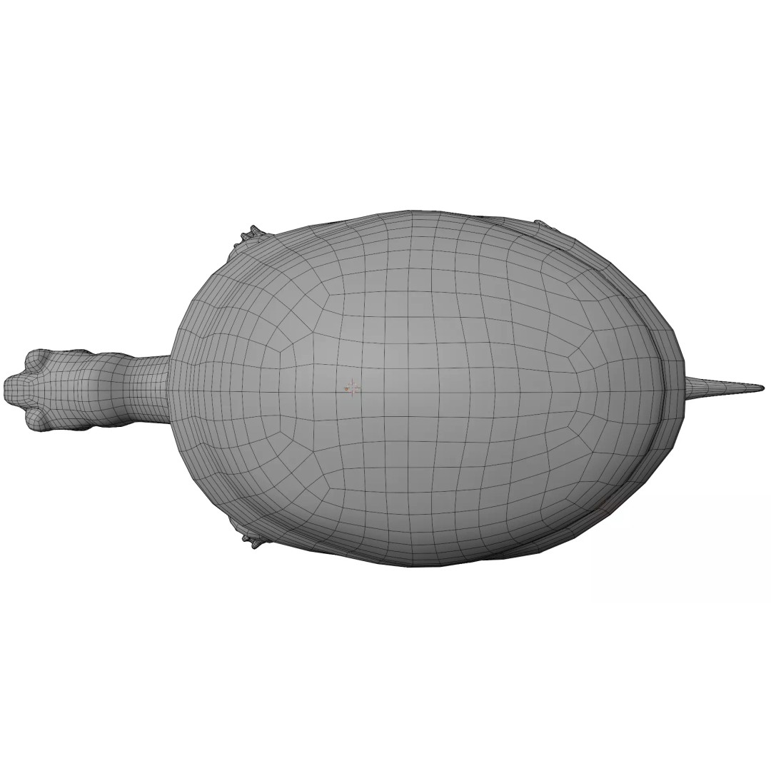 Pond Turtle 3D Model – Realistic PBR Textured Asset, FBX & OBJ