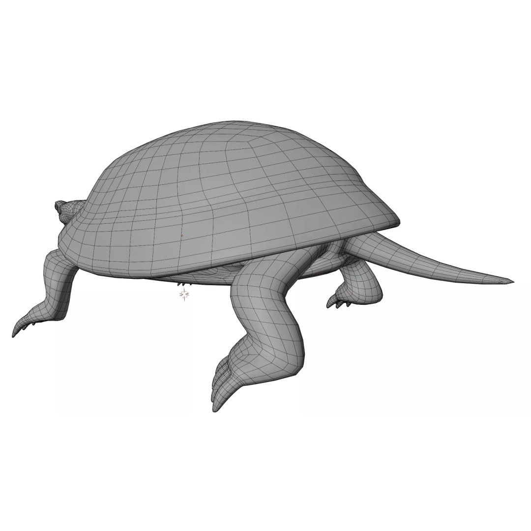 Pond Turtle 3D Model – Realistic PBR Textured Asset, FBX & OBJ - View 13