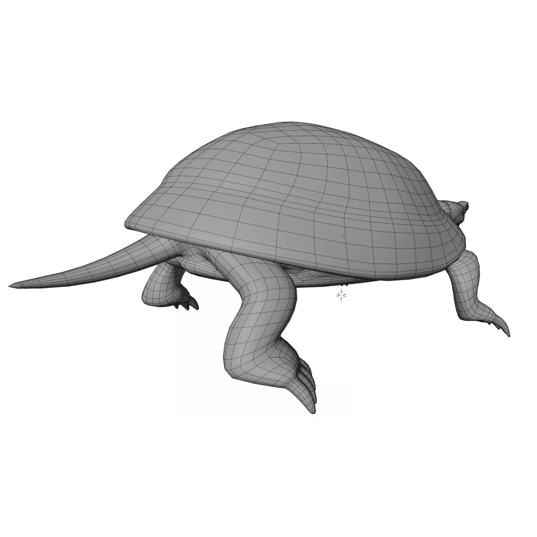 Pond Turtle 3D Model – Realistic PBR Textured Asset, FBX & OBJ - View 15