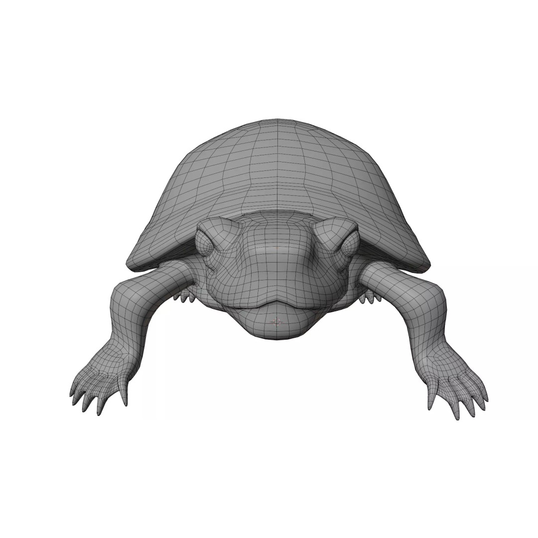 Pond Turtle 3D Model – Realistic PBR Textured Asset, FBX & OBJ - View 18