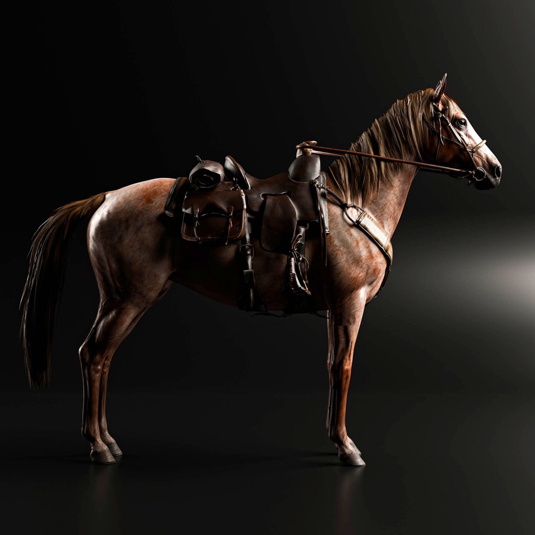 Rigged Horse 3D Model – Realistic Animal with Saddle, FBX, Blender - View 10