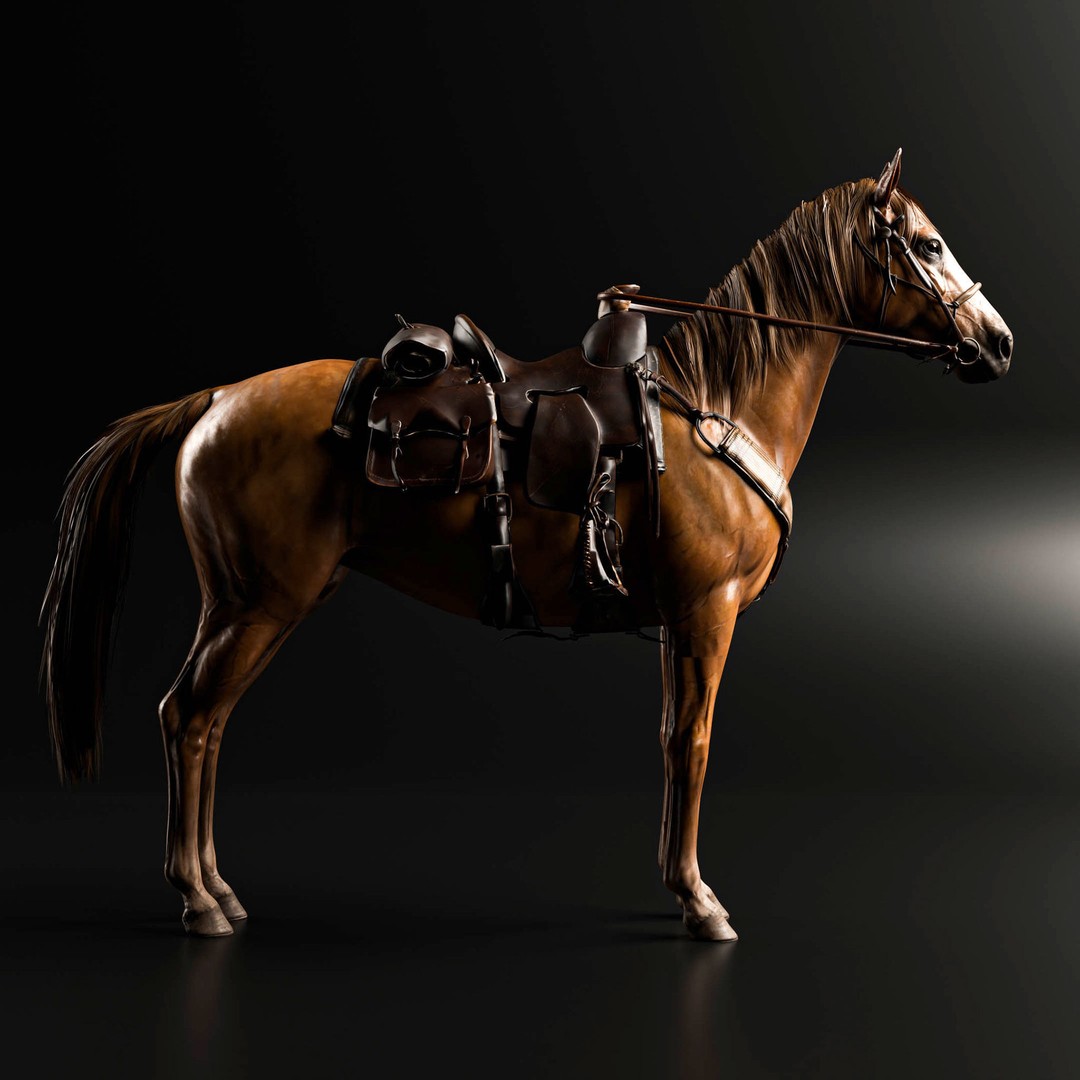 Rigged Horse 3D Model – Realistic Animal with Saddle, FBX, Blender - View 12
