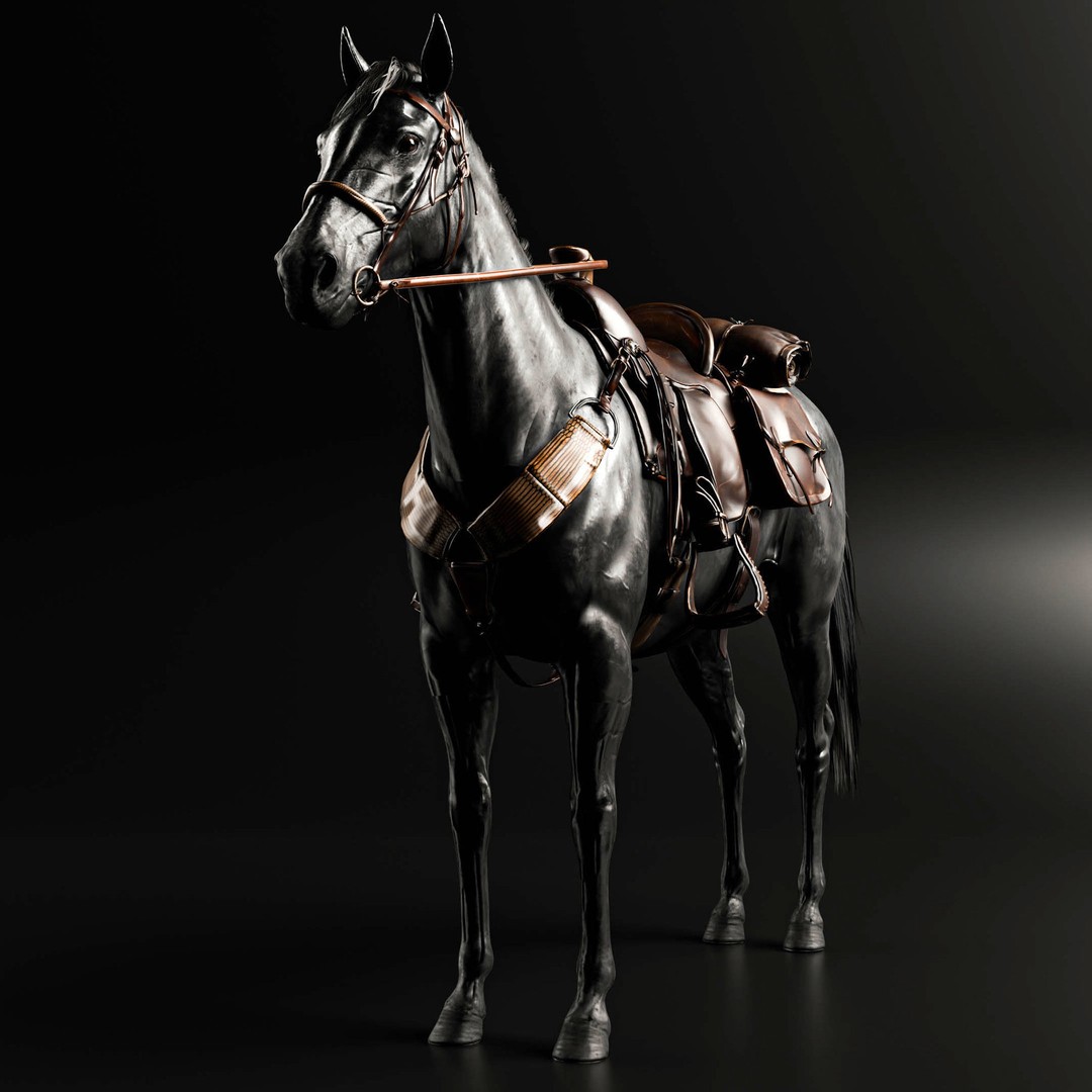 Rigged Horse 3D Model – Realistic Animal with Saddle, FBX, Blender - View 5