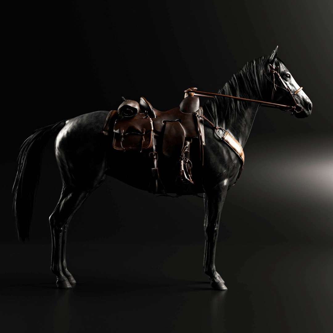 Rigged Horse 3D Model – Realistic Animal with Saddle, FBX, Blender - View 6