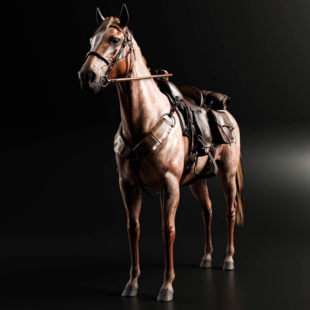 Rigged Horse 3D Model – Realistic Animal with Saddle, FBX, Blender - View 9