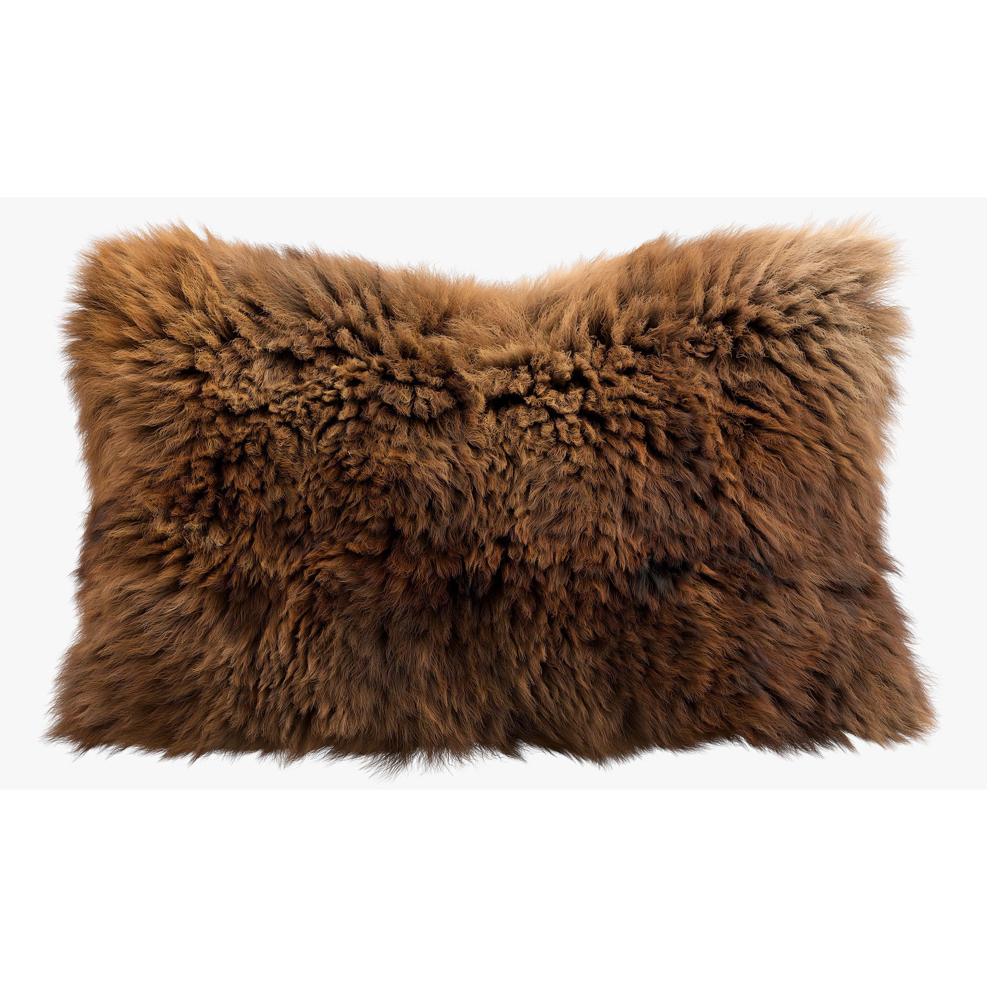 Collection of 38 Fur Pillows - High-Quality 3D Model - View 61