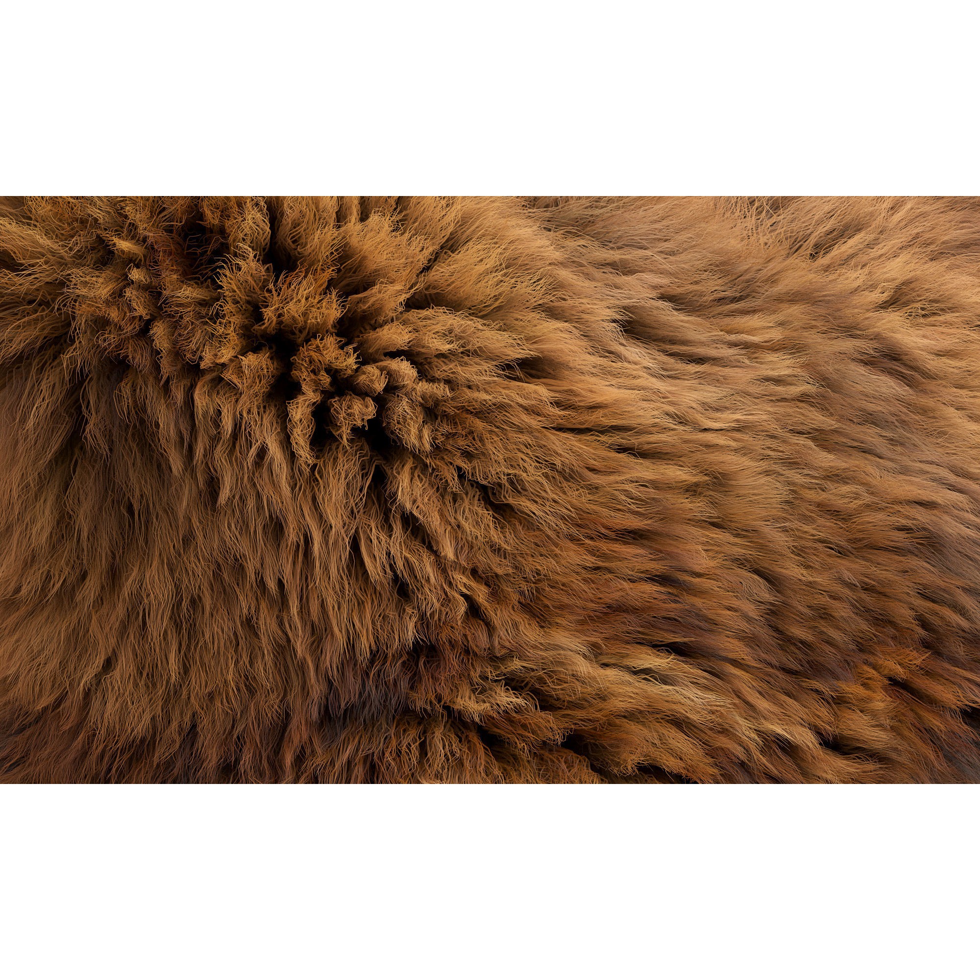 Collection of 38 Fur Pillows - High-Quality 3D Model - View 64