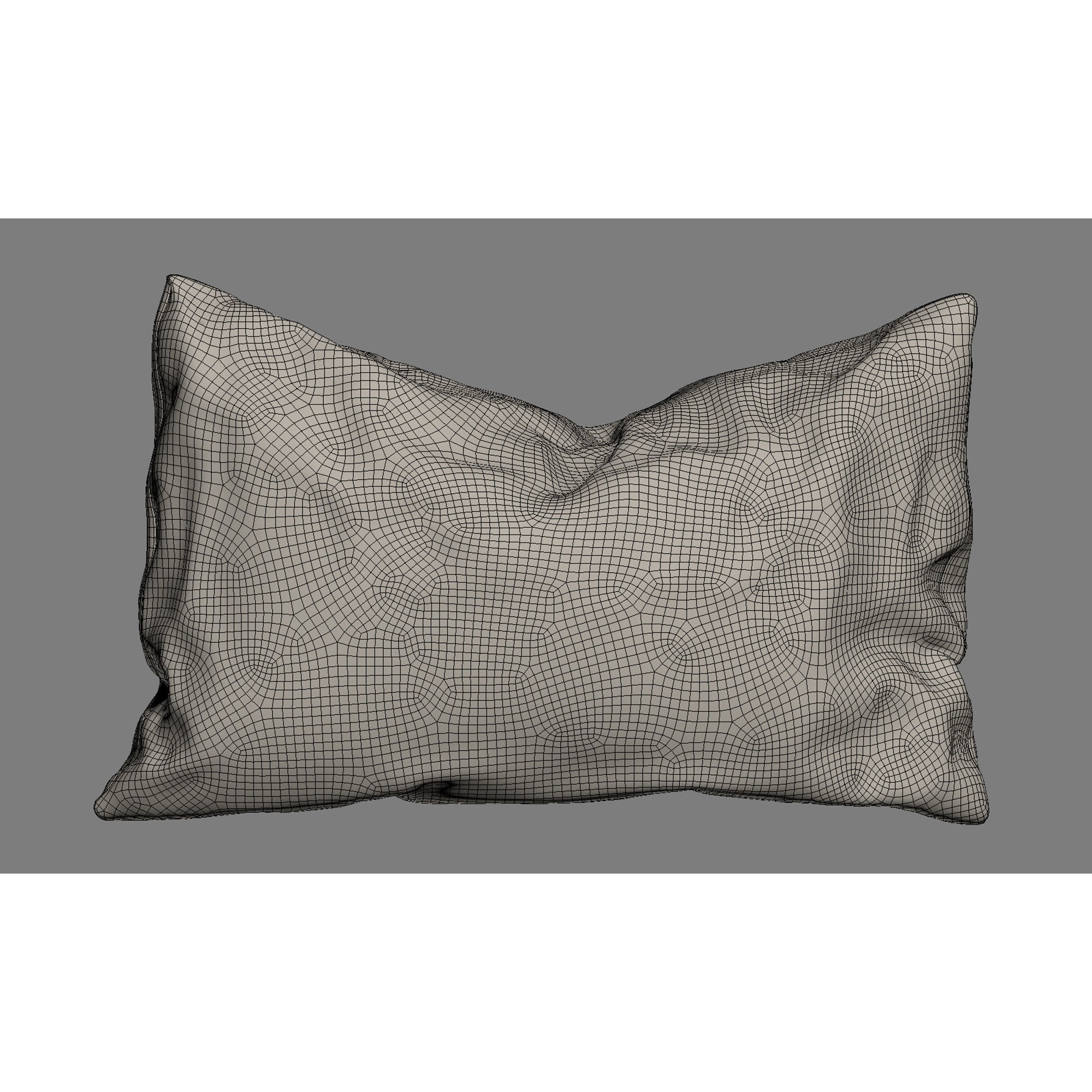 Collection of 38 Fur Pillows - High-Quality 3D Model - View 68