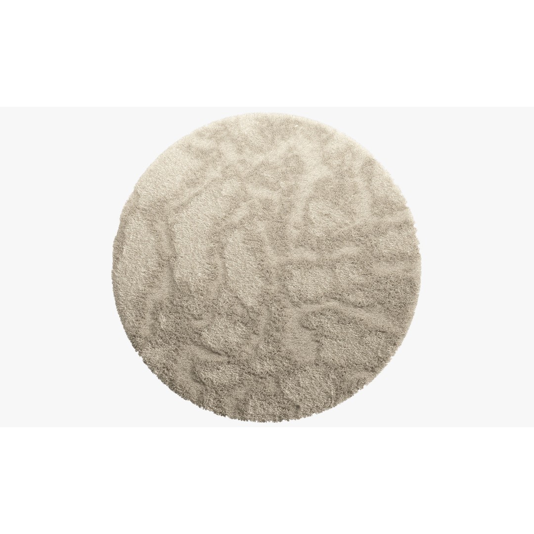 Shaggy Area Round Rug 3D Model – Cozy Modern Textile, FBX, OBJ - View 11
