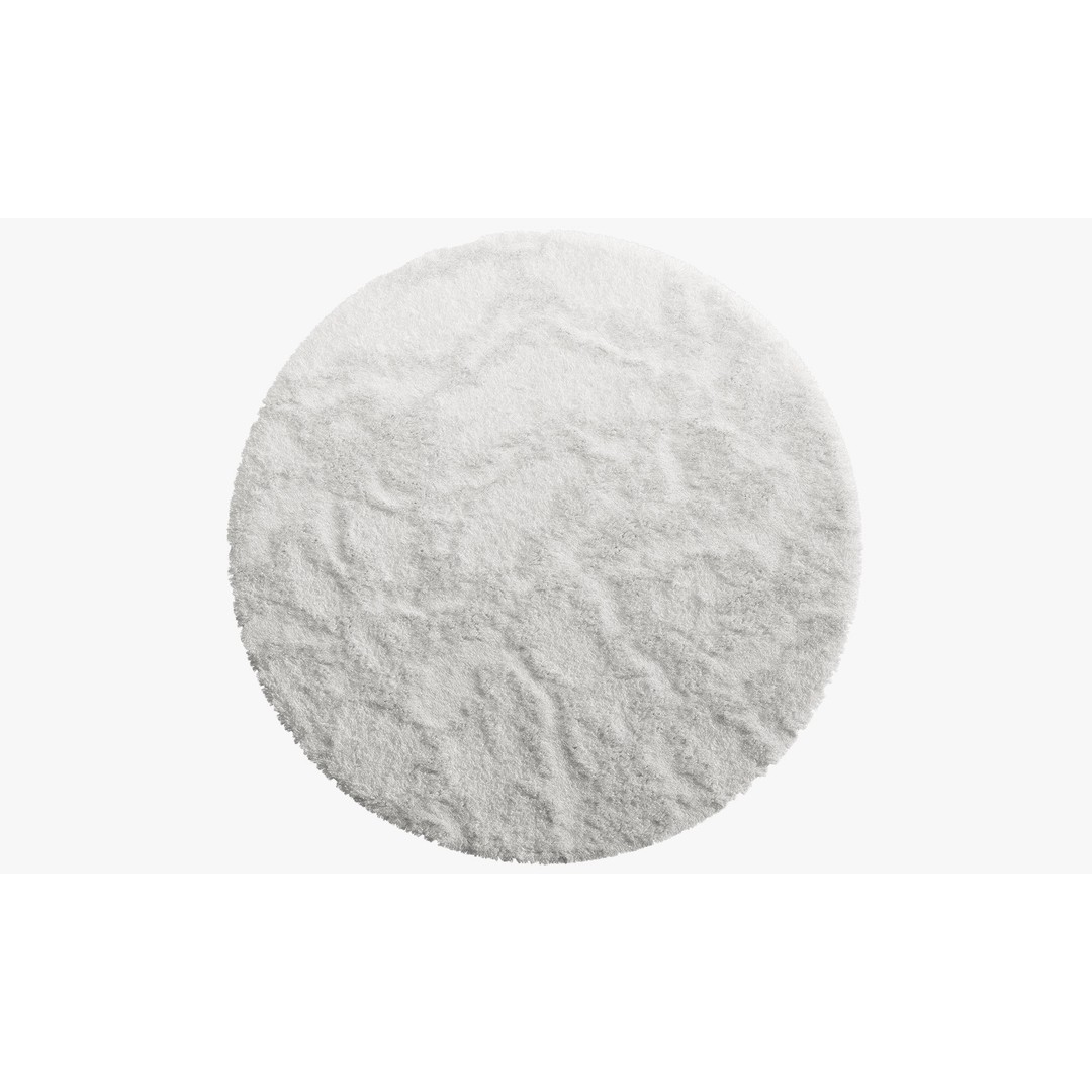 Shaggy Area Round Rug 3D Model – Cozy Modern Textile, FBX, OBJ - View 7