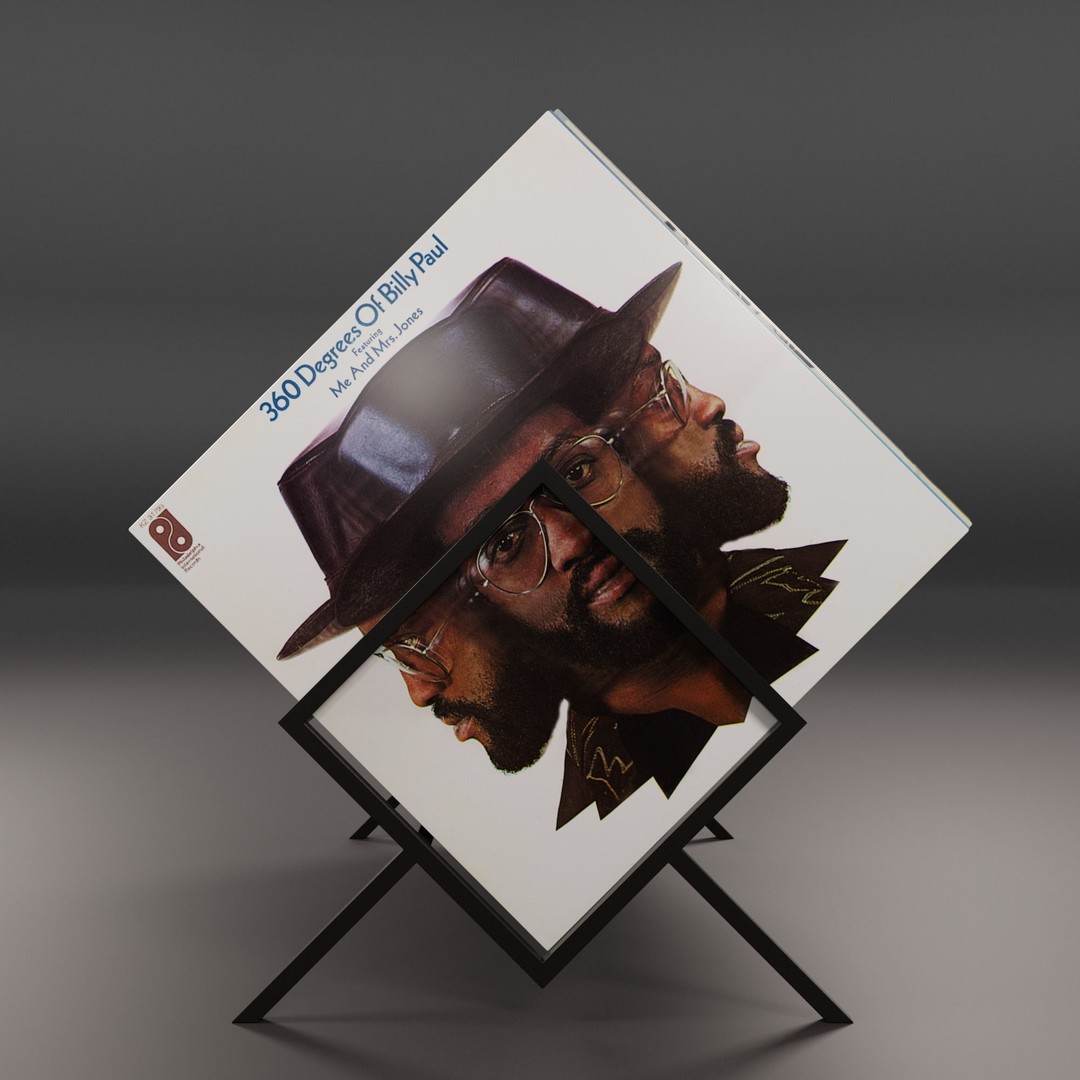 Vinyl Storage 3D Model – Realistic LP Organizer, Blender, FBX, OBJ - View 10