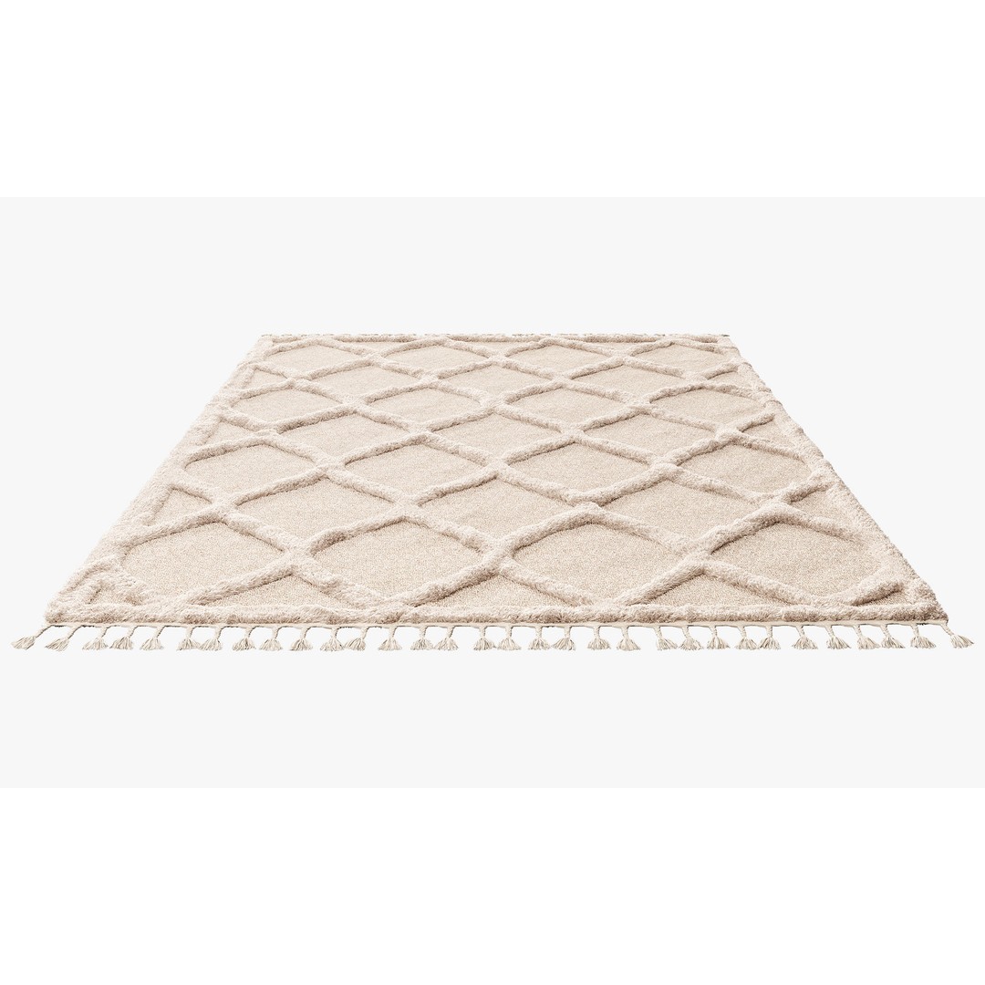 Raised Ogee Trellis Nursery Area Rug 3D Model – Realistic Textile, FBX, OBJ - View 11
