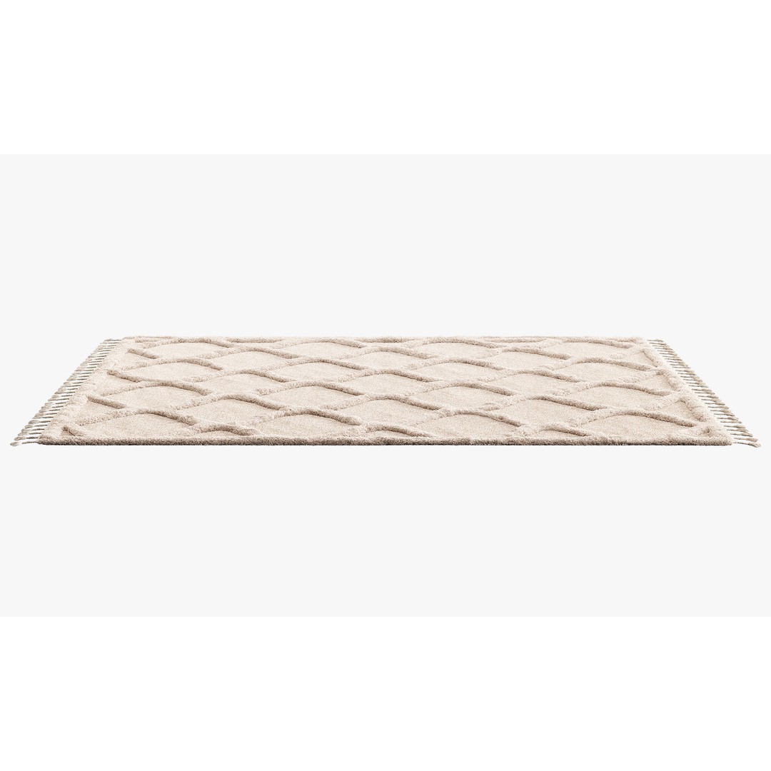 Raised Ogee Trellis Nursery Area Rug 3D Model – Realistic Textile, FBX, OBJ - View 4