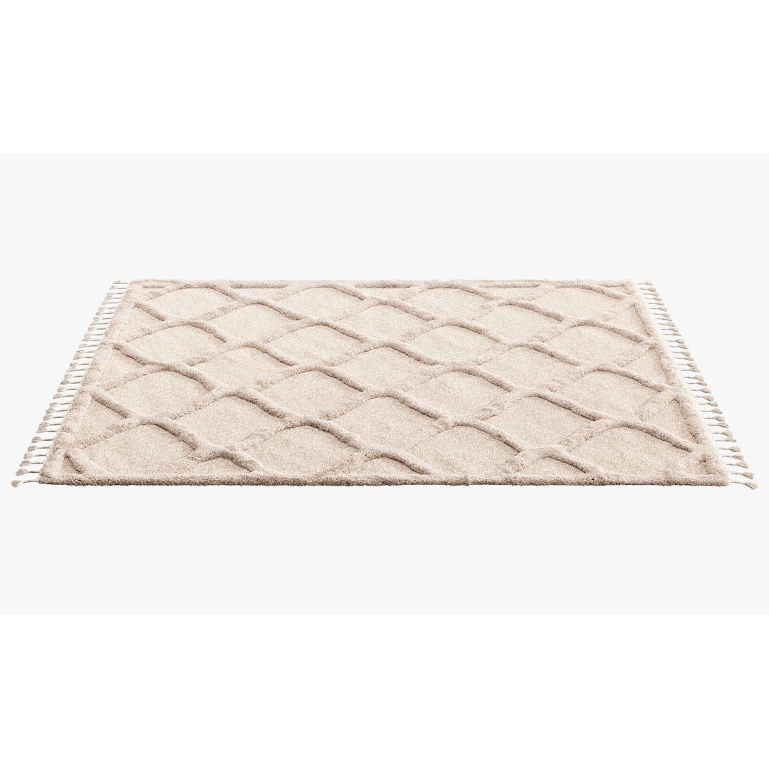 Raised Ogee Trellis Nursery Area Rug 3D Model – Realistic Textile, FBX, OBJ - View 6