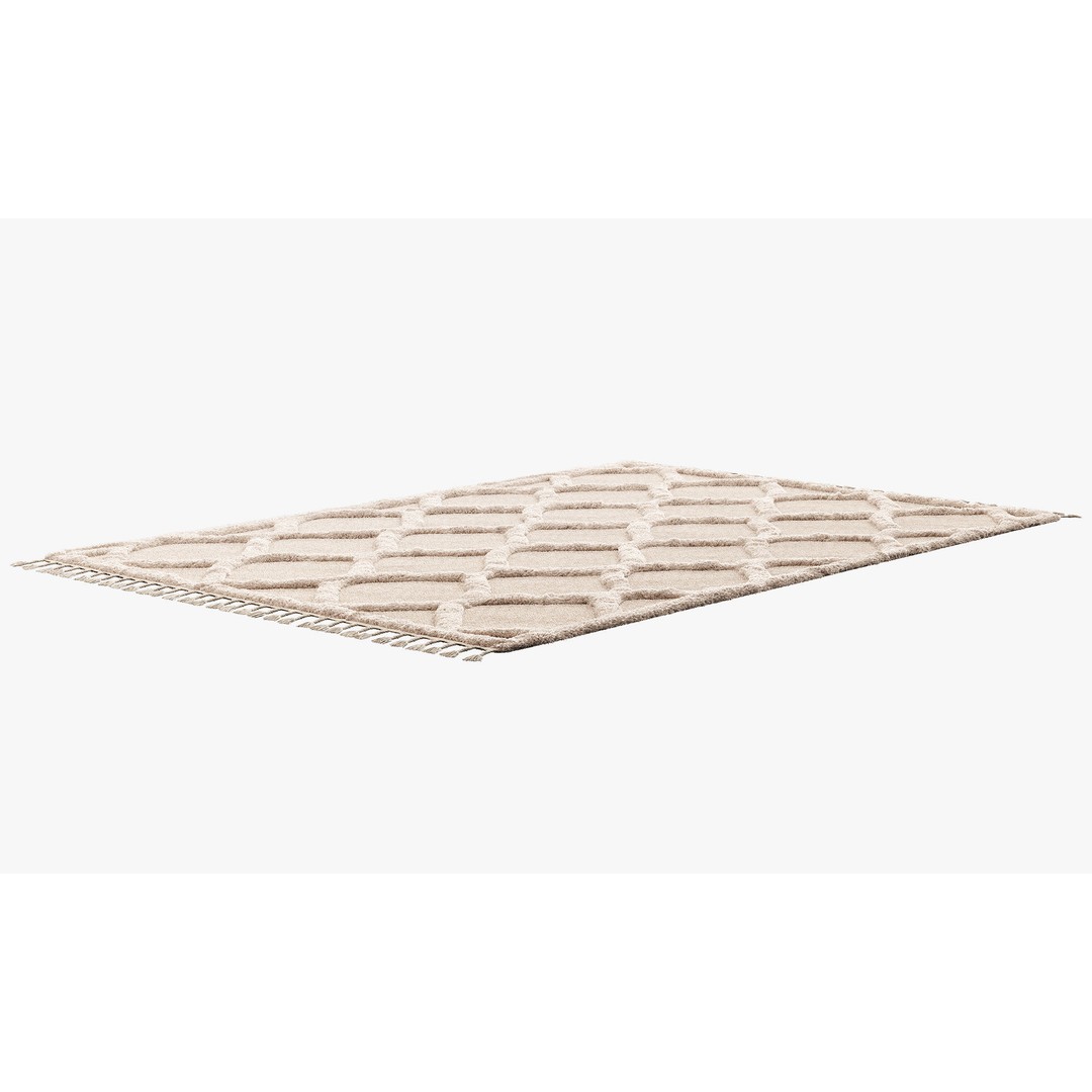 Raised Ogee Trellis Nursery Area Rug 3D Model – Realistic Textile, FBX, OBJ - View 8