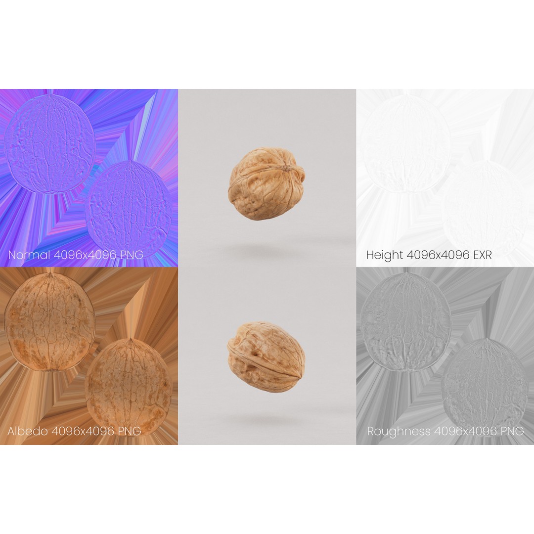 Realistic Walnut 3D Model – PBR Textured, Game-Ready Formats