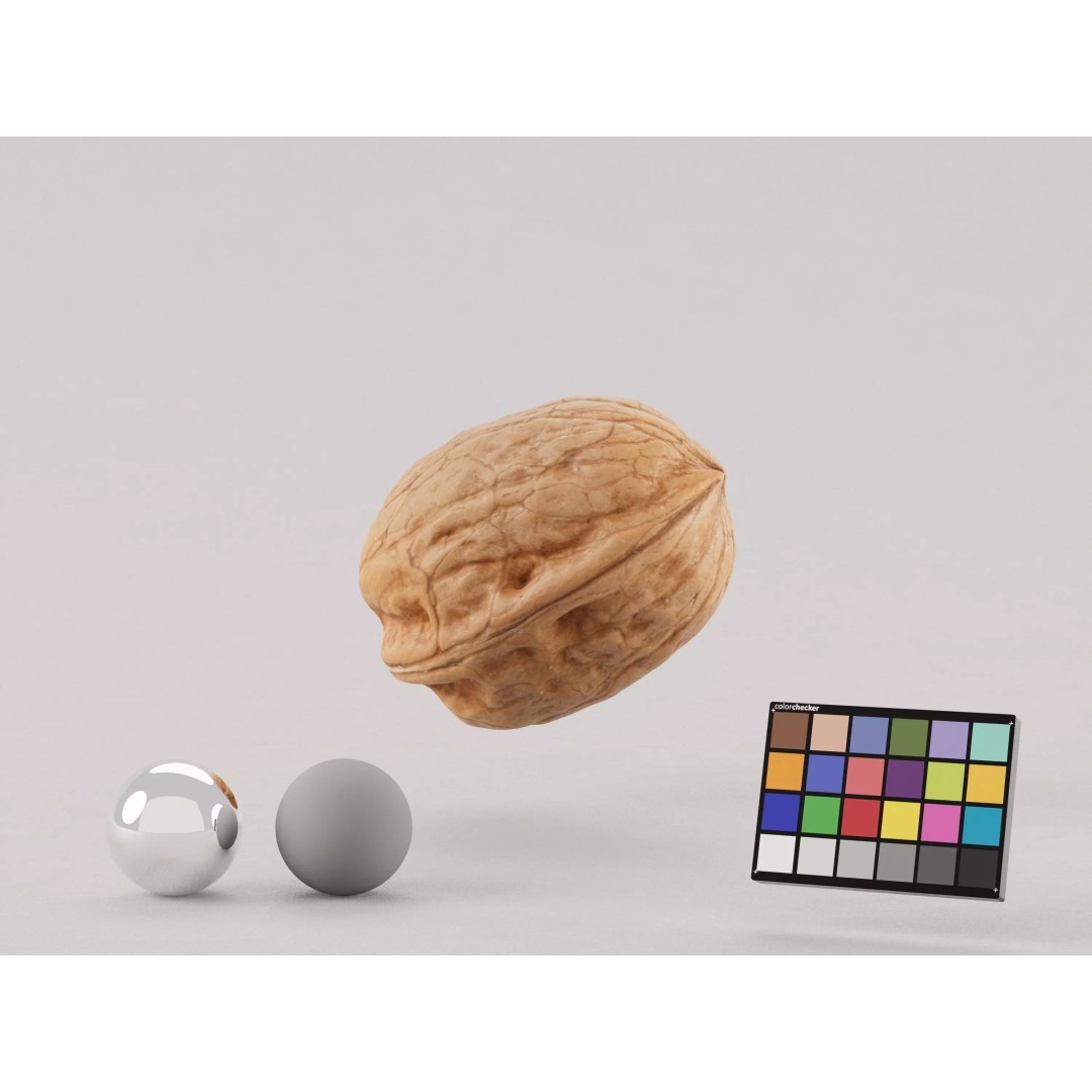 Realistic Walnut 3D Model – PBR Textured, Game-Ready Formats - View 2