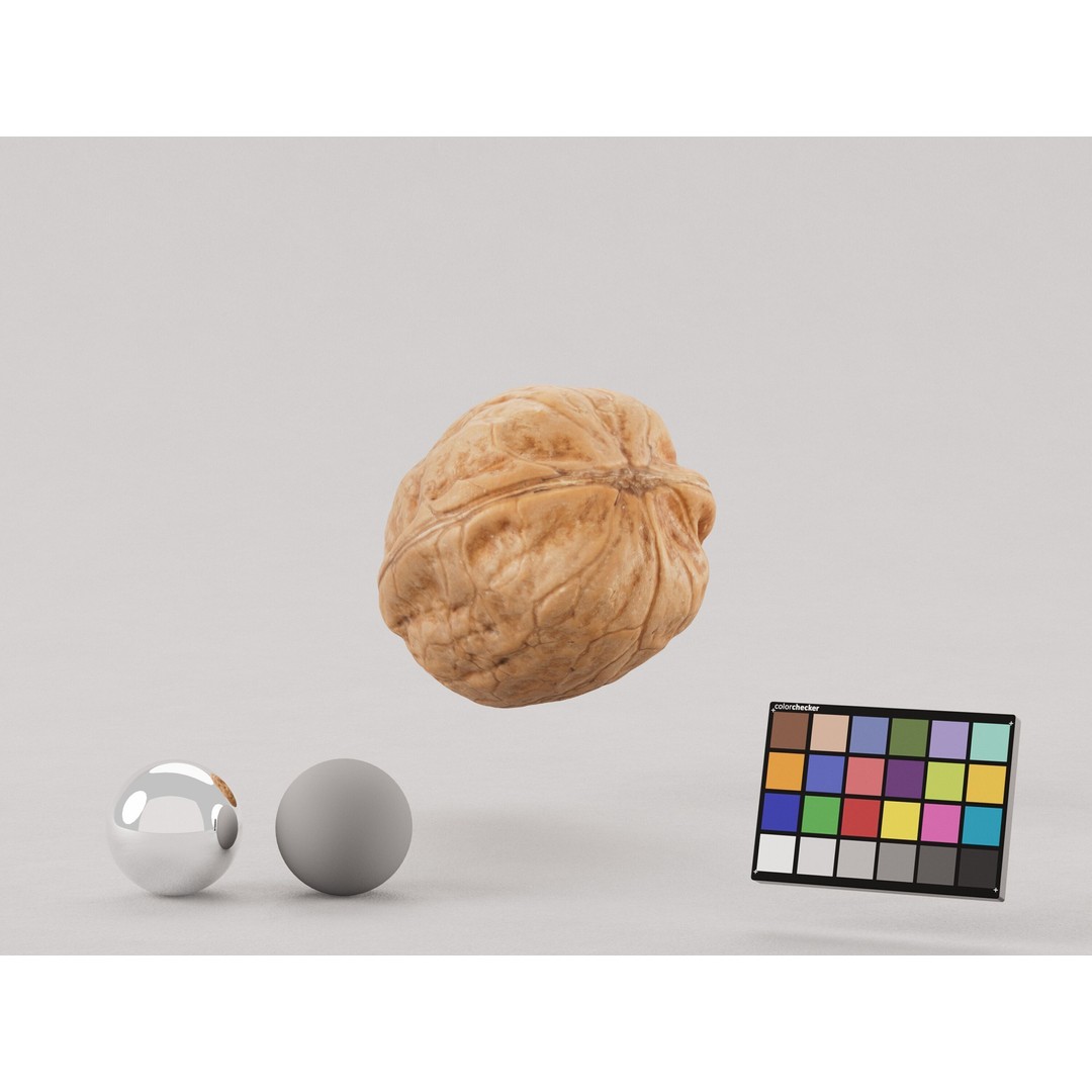 Realistic Walnut 3D Model – PBR Textured, Game-Ready Formats - View 3